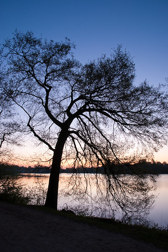 morning lake tree silhouette sunrise germany landscape hamburg harburg ausenmühlenteich harburgerstadtpark