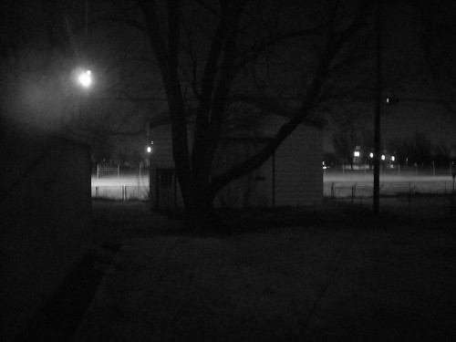 park street bw white black tree cars grass night lights garage