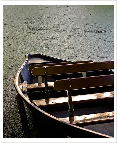 sunset france green water digital canon eos soleil boat eau vert rowing marais couchant coucherdesoleil duckweed barque vendée lentilles poitevin 450d rebelxsi