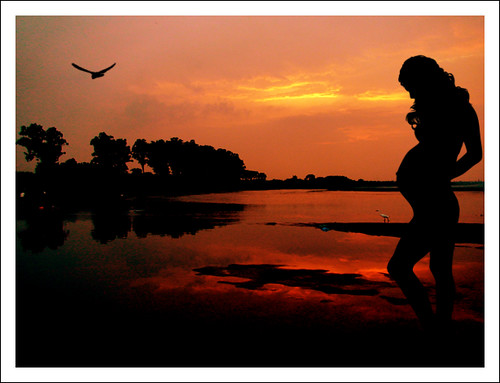 life trees sunset wild people sun india reflection tree nature water beauty river children highway child tripod hideandseek cycle punjab pal 2009 playmate devendra thesuperbmasterpiece freedancephotographers copyrightdpal dpalphotography
