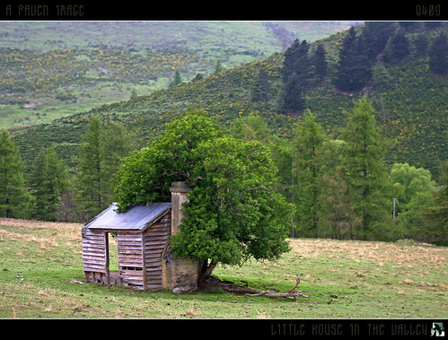 newzealand foothills house tree geotagged farm treehouse hut mackenzie southisland mackenziecountry shack wilderness hdr burkespass mywinners statehighway8 fbdg geo:lat=44072985 geo:lon=1706675