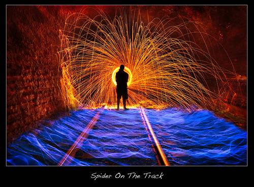 Spider On The Track