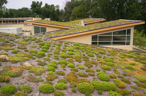 Green Roof at Walter Reed CC
