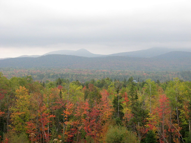 Autumn Colors Blue Mountain Lake Adirondacks  NY 2843