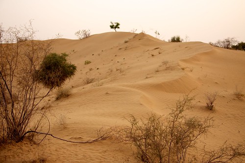 india landscape desert rajasthan thardesert osiyan