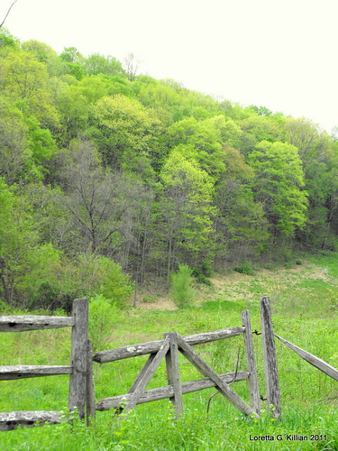 wood old abandoned field rural wooden woods gate pennsylvania country pa pasture forgotten lehighvalley countryroad dilapidated northamptoncounty slatebelt lowermtbetheltownship garrroad