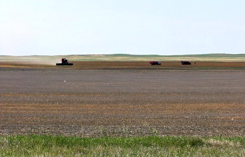 blue canada color colour green farm harvest standrews sk prairie saskatchewan agriculture 2009 thresher 2000s canadagood