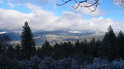 california christmas trees winter white mountain snow cold fun view sierra fresno snowing 2008 centralcalifornia holidayauberry