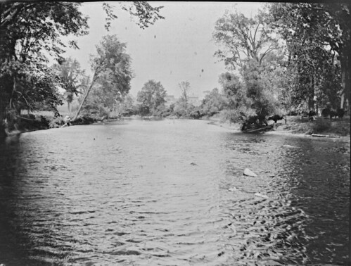 trees rivers 1900s