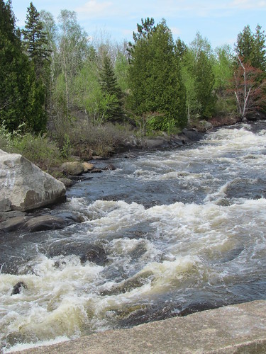 trees water river rocks rapids greenlake
