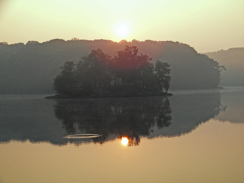trees sun lake fish reflection nature water sunrise dawn fujifilmfinepixs2000hd