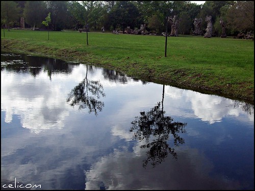 naturaleza reflections agua arboles nubes reflexions reflejos solidaritywithcancer solidaridadconelcancer