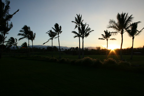 sky sun silhouette sunrise hawaii palmtrees bigisland