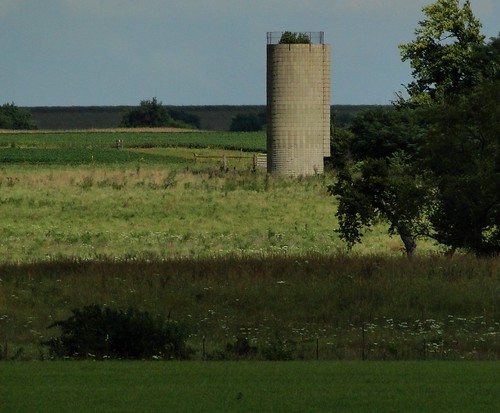 trees landscape farm silo kansas