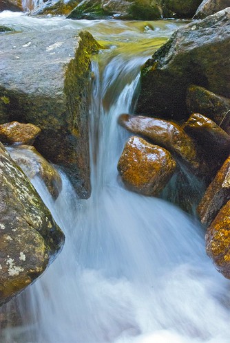 creek waterfall roaringlion