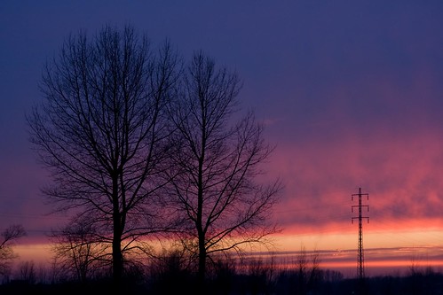 trees sunset sky silhouette electricitypole purplesky