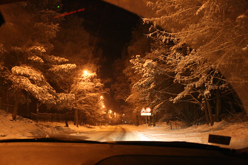 trees winter snow window car forest latvia riga fromthecar carwindow canon400d vecmilgravis fotocompetition fotocompetitionbronze
