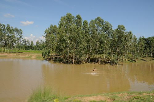 lakes waterbodies uttarpradesh geo:dir=104 june2008 geo:lat=289582683333333 geo:lon=78825475 traditionalwaterbodies bhojpurdharampur