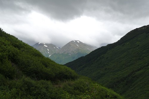 travel alaska landscape rainforest kenai southeastalaska tongass lumixlx3