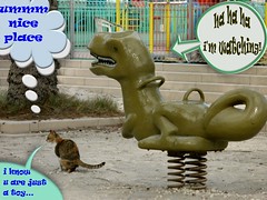 cat and the dinosaur