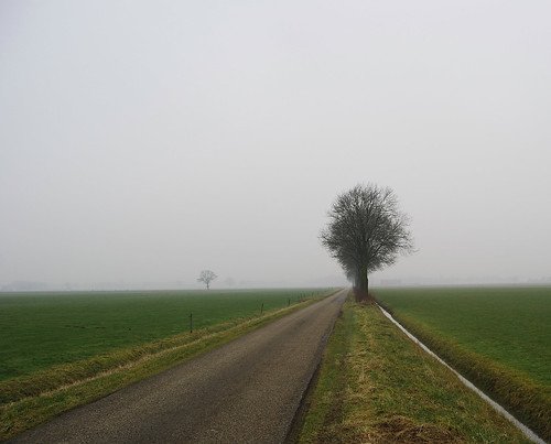 mist holland netherlands fog rural landscape countryside weide nederland achterhoek landschap gelderland lange platteland montferland zeddam vethuizen langeweide