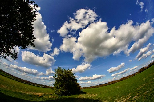 uk blue trees england sky white green clouds interestingness topf50 europe explore hedge fields algo fisheyelens samyang 50f explore111 explore116