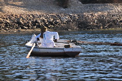 Men on the Nile