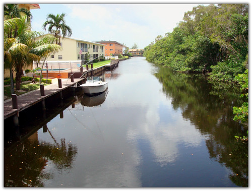 trees building boat canal florida fortlauderdale coconuttrees