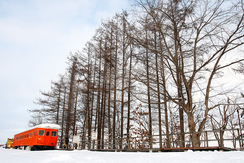winter snow tree station japan train landscape photo railway sunny 北海道 日本 gps canonef1740mmf4lusm 帯広 canoneoskissx
