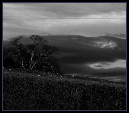 sky white black tree grass clouds heart greenblue