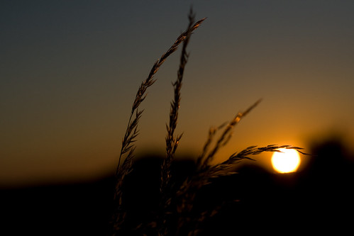 sunset sun soleil coucher mans campagne blé sarthe pruilléléguillé