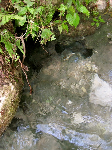 water florida jackson springs marianna aquifer merrittsmillpond shangrilaspring