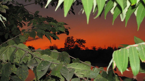 sunset leaves september stlawrenceriver