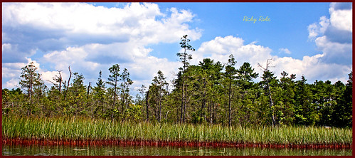 blue red sky white reflection tree green nature water clouds nj lakeoswego platinumphoto aplusphoto allin1 theperfectphotographer pinebarrings
