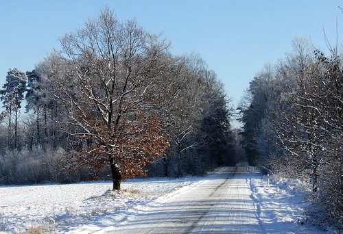 road winter snow tree forest landscape poland jacek lowersilesia piensk borydolnoslaskie