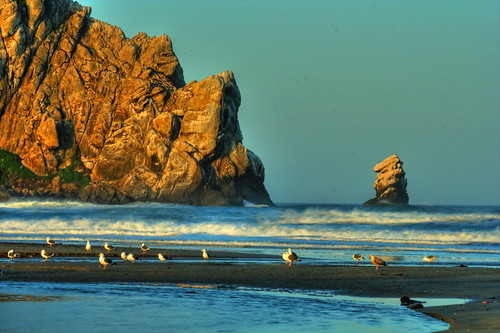 sunrise bath seagull morrobay morrorock elmorro thepebble