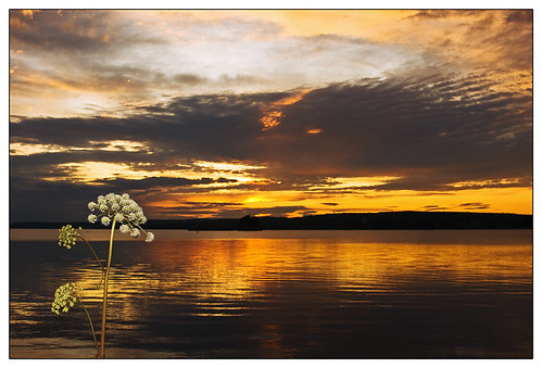 sunset sky lake water reflections colorful sweden dramatic burning sunrays rättvik dalecarlia orangeskies wftw