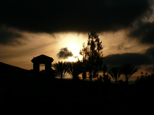 california sunset sun tree tower set evening sandiego