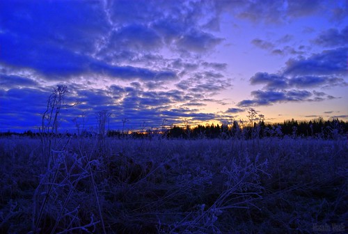 blue autumn nature photoshop geotagged estonia pentax 2009 km est idavirumaa eesti da1855mm vanagram
