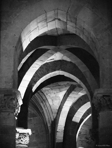 bw españa spain cathedral gothic catedral bn logroño rioja archs arcos gótico santodomingodelacalzada kodaktmaxp3200 vacaciones2009