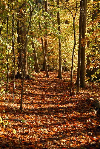 autumn hiking greensboro triad mountainstoseatrail watershedtrails natgreentrail