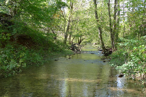 summer green creek