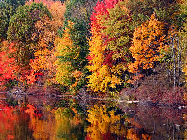 SpaceWatchtower: Colorful Fall Foliage: Astronomy Affects Nature