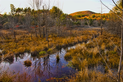 autumn fall landscape massachusetts watatic mtwatatic