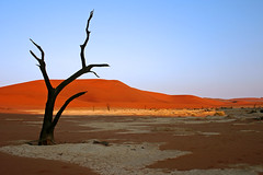 Dead Vlei, Namib-Naukluft NP