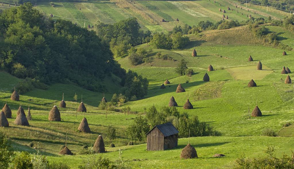 Agri-Culture: Romanian Haystacks