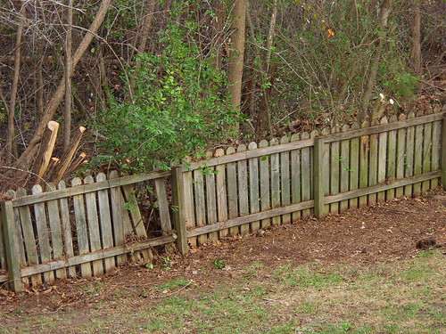 winter fence sunday intheyard