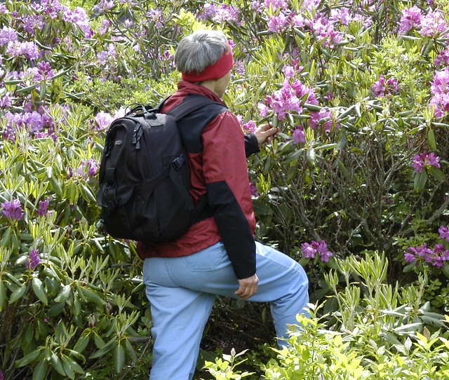 Wear long pants and long sleeves when hiking to protect yourself from ticks and other insects.