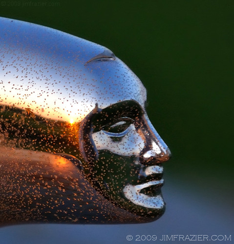 old sunset sculpture sun macro cars texture beautiful beauty face statue metal closeup rural silver reflections evening illinois nikon highway rust shiny mechanical dusk decay steel country rusty beautifullight f10 class cadillac september il equipment vehicles ornament chrome transportation worn lincoln hood weathered elegant 2009 classiccars hoodornament automobiles apparatus glint rundown devices classy rochelle lincolnhighway pitted ogle d90 v500 v1000 q4 v900 oglecounty torcwori ld2009 ldseptember 090907e ©jimfraziercom fastpictures