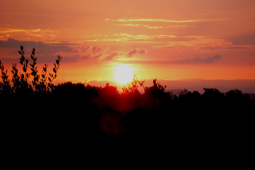 sunset sun soleil august languedoc cevennes languedocroussillon cévennes saintsiffret stsiffret août uzège